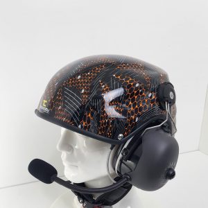 Pintura Colmeia Abelha